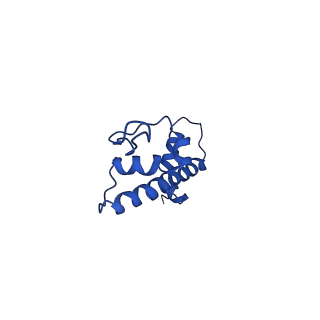 34956_8hr1_G_v1-1
Cryo-EM structure of SSX1 bound to the unmodified nucleosome at a resolution of 3.02 angstrom