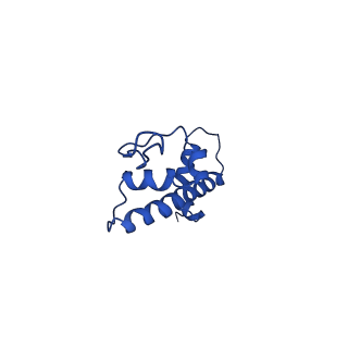 34956_8hr1_G_v1-2
Cryo-EM structure of SSX1 bound to the unmodified nucleosome at a resolution of 3.02 angstrom