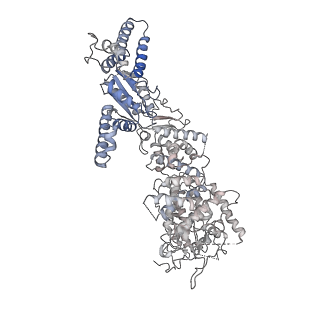 34962_8hr7_R_v1-1
Structure of RdrA-RdrB complex