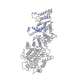 34962_8hr7_T_v1-1
Structure of RdrA-RdrB complex