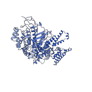 34963_8hr8_D_v1-1
Structure of heptameric RdrA ring