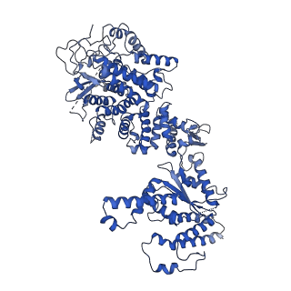 34963_8hr8_E_v1-1
Structure of heptameric RdrA ring