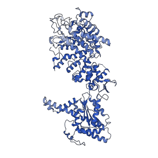 34963_8hr8_F_v1-1
Structure of heptameric RdrA ring