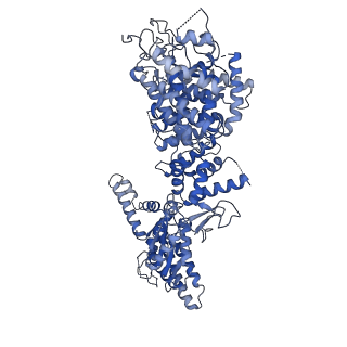 34963_8hr8_G_v1-1
Structure of heptameric RdrA ring