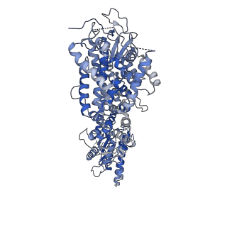 34963_8hr8_H_v1-1
Structure of heptameric RdrA ring