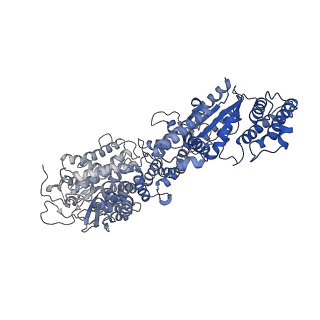 34964_8hr9_A_v1-1
Structure of tetradecameric RdrA ring