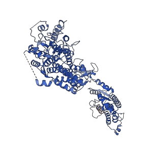 34965_8hra_A_v1-1
Structure of heptameric RdrA ring in RNA-loading state