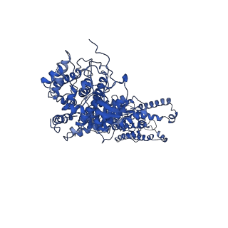 34965_8hra_B_v1-1
Structure of heptameric RdrA ring in RNA-loading state