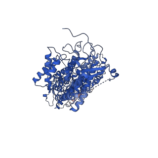 34965_8hra_C_v1-1
Structure of heptameric RdrA ring in RNA-loading state