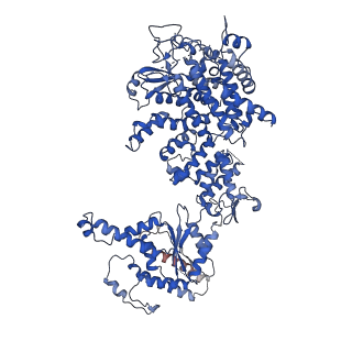34965_8hra_D_v1-1
Structure of heptameric RdrA ring in RNA-loading state