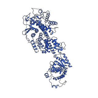 34965_8hra_E_v1-1
Structure of heptameric RdrA ring in RNA-loading state