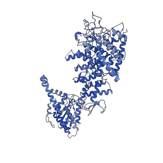 34965_8hra_G_v1-1
Structure of heptameric RdrA ring in RNA-loading state