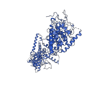34965_8hra_H_v1-1
Structure of heptameric RdrA ring in RNA-loading state