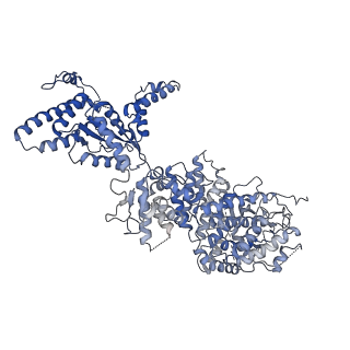 34966_8hrb_A_v1-1
Structure of tetradecameric RdrA ring in RNA-loading state