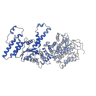 34966_8hrb_B_v1-1
Structure of tetradecameric RdrA ring in RNA-loading state