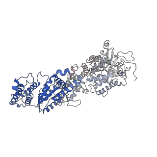 34966_8hrb_C_v1-1
Structure of tetradecameric RdrA ring in RNA-loading state