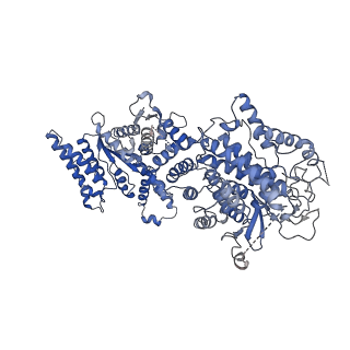 34966_8hrb_D_v1-1
Structure of tetradecameric RdrA ring in RNA-loading state