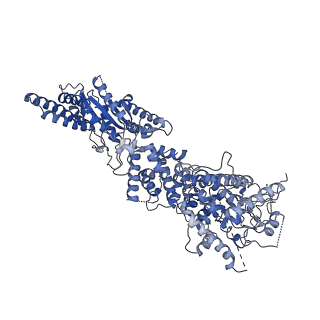 34966_8hrb_E_v1-1
Structure of tetradecameric RdrA ring in RNA-loading state