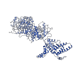 34966_8hrb_F_v1-1
Structure of tetradecameric RdrA ring in RNA-loading state