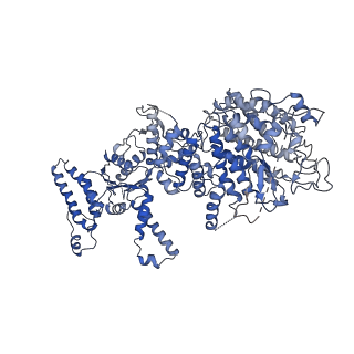 34966_8hrb_G_v1-1
Structure of tetradecameric RdrA ring in RNA-loading state