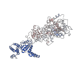 34966_8hrb_H_v1-1
Structure of tetradecameric RdrA ring in RNA-loading state
