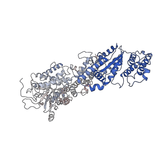34966_8hrb_L_v1-1
Structure of tetradecameric RdrA ring in RNA-loading state