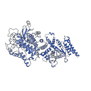 34966_8hrb_M_v1-1
Structure of tetradecameric RdrA ring in RNA-loading state