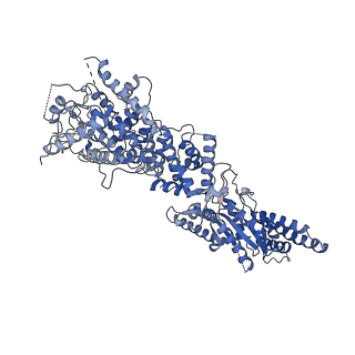 34966_8hrb_P_v1-1
Structure of tetradecameric RdrA ring in RNA-loading state