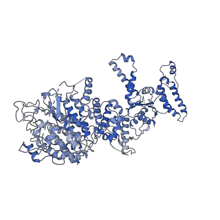 34966_8hrb_Q_v1-1
Structure of tetradecameric RdrA ring in RNA-loading state