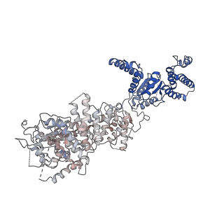 34966_8hrb_R_v1-1
Structure of tetradecameric RdrA ring in RNA-loading state