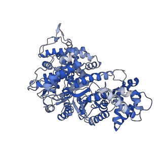 34967_8hrc_A_v1-1
Structure of dodecameric RdrB cage