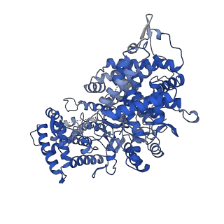 34967_8hrc_B_v1-1
Structure of dodecameric RdrB cage