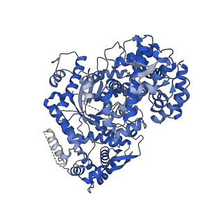 34967_8hrc_C_v1-1
Structure of dodecameric RdrB cage
