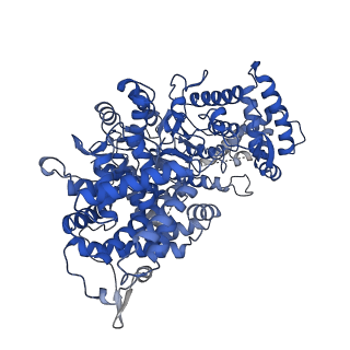 34967_8hrc_F_v1-1
Structure of dodecameric RdrB cage