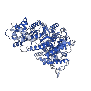 34967_8hrc_H_v1-1
Structure of dodecameric RdrB cage