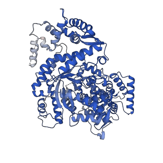 34967_8hrc_I_v1-1
Structure of dodecameric RdrB cage
