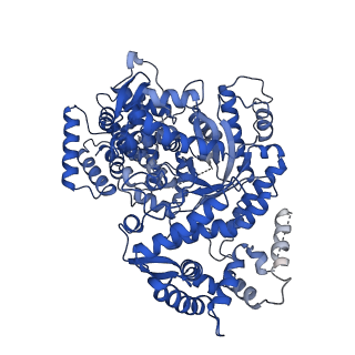34967_8hrc_J_v1-1
Structure of dodecameric RdrB cage