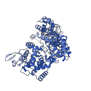 34967_8hrc_L_v1-1
Structure of dodecameric RdrB cage