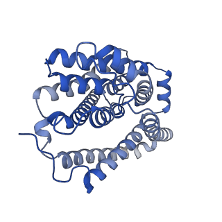 34982_8hry_A_v1-1
Cryo-EM structure of human NTCP-myr-preS1-YN9016Fab complex