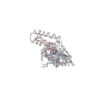 0264_6hs7_D_v1-0
Type VI membrane complex