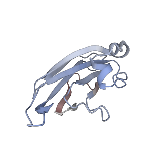 0264_6hs7_H_v1-0
Type VI membrane complex