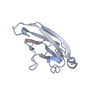 0264_6hs7_K_v1-0
Type VI membrane complex