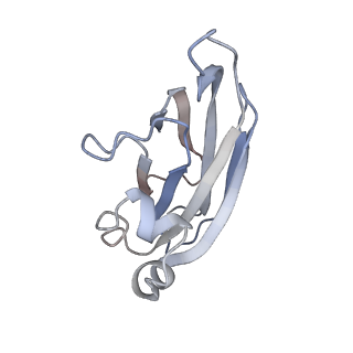 0264_6hs7_N_v1-0
Type VI membrane complex