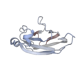 0264_6hs7_Q_v1-0
Type VI membrane complex