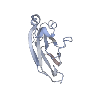 0264_6hs7_T_v1-0
Type VI membrane complex