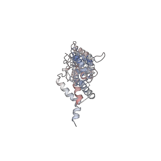 0264_6hs7_b_v1-0
Type VI membrane complex