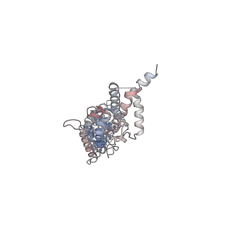0264_6hs7_e_v1-0
Type VI membrane complex