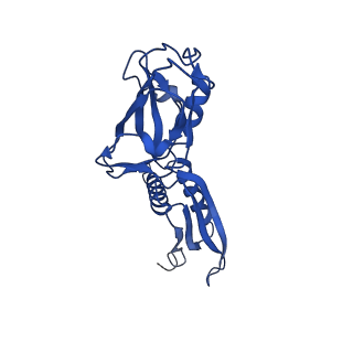 34996_8hsg_G_v1-0
Thermus thermophilus RNA polymerase elongation complex