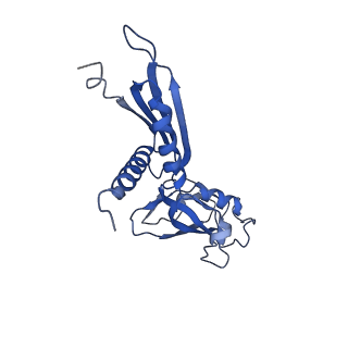 34996_8hsg_H_v1-0
Thermus thermophilus RNA polymerase elongation complex