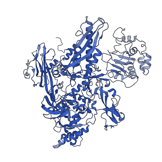 34996_8hsg_I_v1-0
Thermus thermophilus RNA polymerase elongation complex
